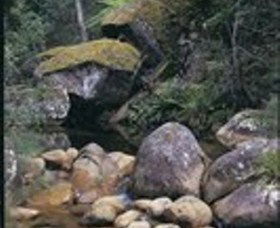 Mumbulla Creek Falls And Picnic Area - Queensland Tourism 1