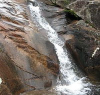 Mumbulla Creek Falls and Picnic Area - Queensland Tourism