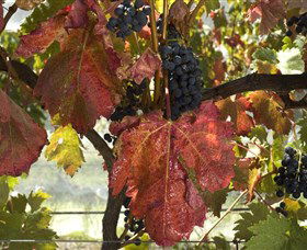 Mimosa Wines - Queensland Tourism 1