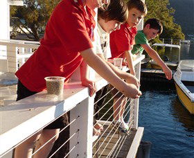 Dunbogan Boatshed - Queensland Tourism 3