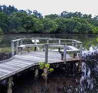 Walk on Water walking track - Queensland Tourism