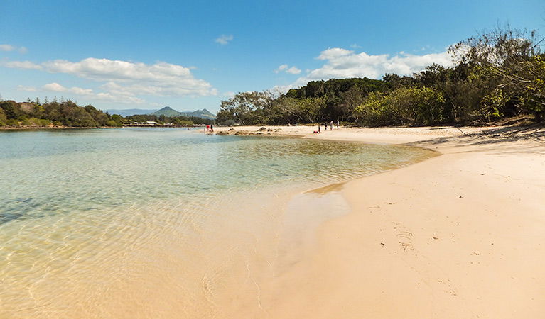 Brunswick Heads NSW Queensland Tourism