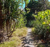 North Head walking track - Queensland Tourism