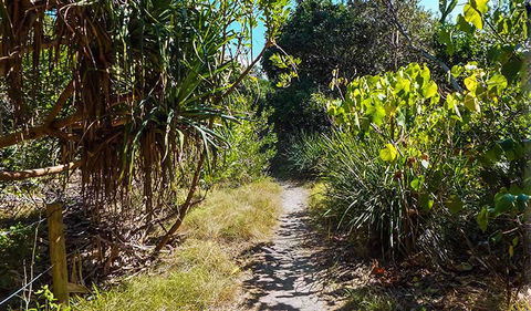 North Head Walking Track - Queensland Tourism 0