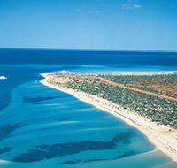 Monkey Mia - Queensland Tourism