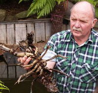 Lobster Ponds - Queensland Tourism