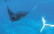 Ningaloo Reef - thumb 3
