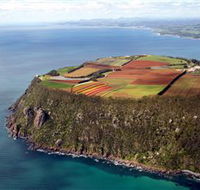 Table Cape - Queensland Tourism
