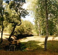 Oldina Picnic Area - Queensland Tourism