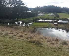 Guide Falls Farm - Queensland Tourism 0