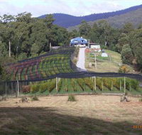 Motton Terraces - QLD Tourism