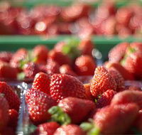 Turners Beach Berry Patch - QLD Tourism