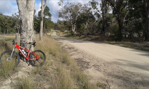 Granite Belt Bicycle Tours And Hire - QLD Tourism 5
