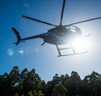 Tall Timbers Adventure Tours - QLD Tourism