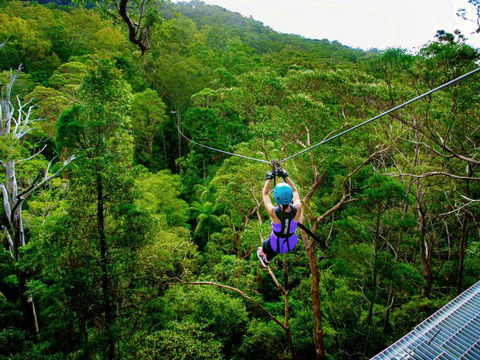 Canyon Flyer - QLD Tourism 4