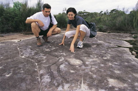 Sydney Coast Walks - QLD Tourism 3