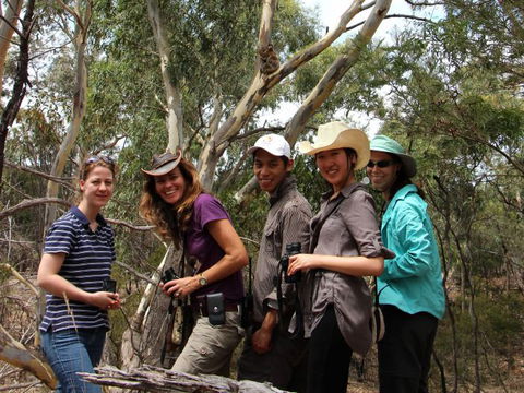 Echidna Walkabout Nature Tours - Queensland Tourism 4