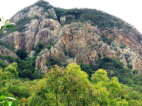 Mount Greville Track - QLD Tourism 1