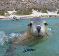 Calypso Star Charters - Queensland Tourism