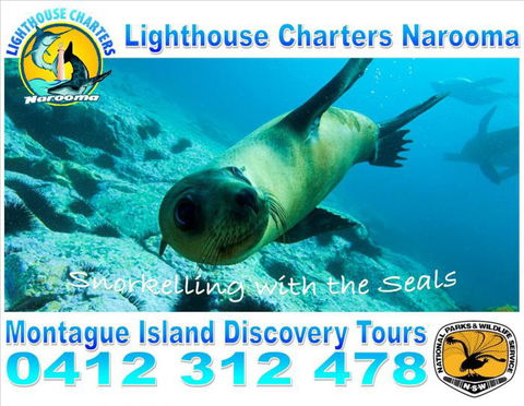 Lighthouse Charters Narooma - Queensland Tourism 12