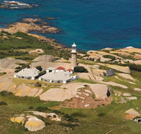 Naturewise Montague Island Nature Escape - Queensland Tourism