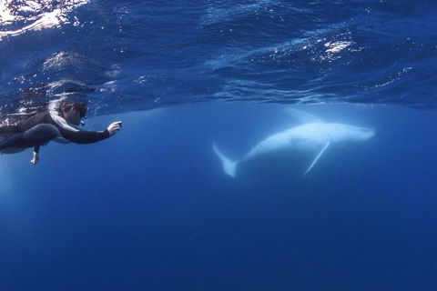 Sunreef Mooloolaba - QLD Tourism 1