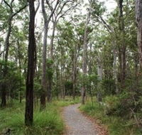 Caboolture Regional Environment Education Centre - Walking Trails - Queensland Tourism