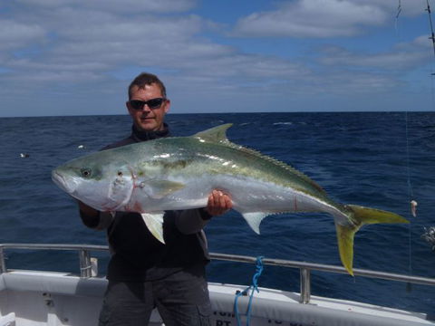 Reef Encounters Fishing Charters. - QLD Tourism 13