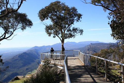 Australian Natural Treasures Touring - Queensland Tourism 11
