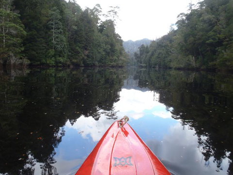 King River Rafting - QLD Tourism 1