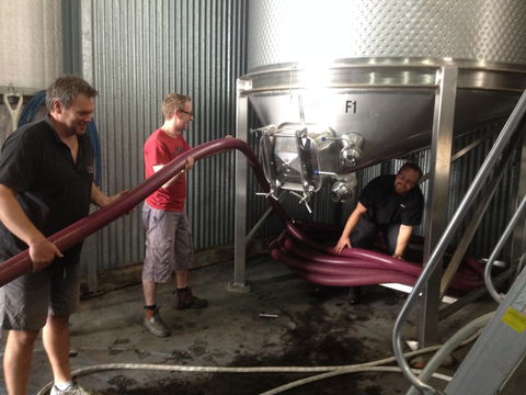 La Prova Wines - QLD Tourism 2