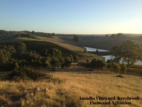 La Prova Wines - QLD Tourism 3