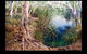 RPM Original - thumb 0
