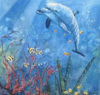 Nadas Fine Art Gallery - Queensland Tourism