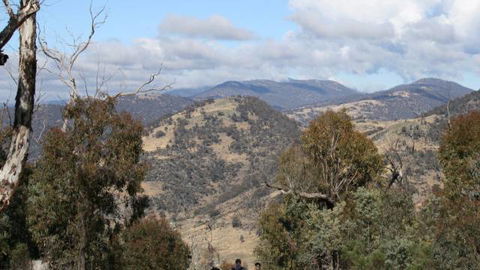 Mt Tennent - Queensland Tourism 0