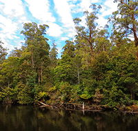A R Reflections River Cruises - QLD Tourism