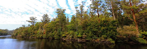 A R Reflections River Cruises - QLD Tourism 0