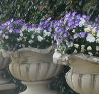 Gardenalia Open Garden and Rare Plant Nursery - Queensland Tourism