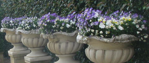 Gardenalia Open Garden And Rare Plant Nursery - Queensland Tourism 0