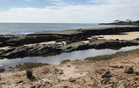 Yamba Tours And Charters - QLD Tourism 0