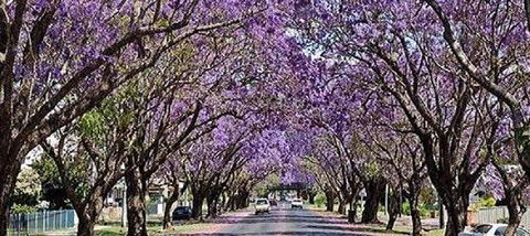 Yamba Tours And Charters - QLD Tourism 6