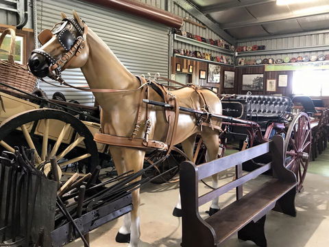 Yamba Tours And Charters - QLD Tourism 9