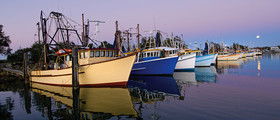 Yamba Tours And Charters - QLD Tourism 14