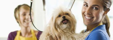 Port Stephens Pet Barn - Queensland Tourism 1