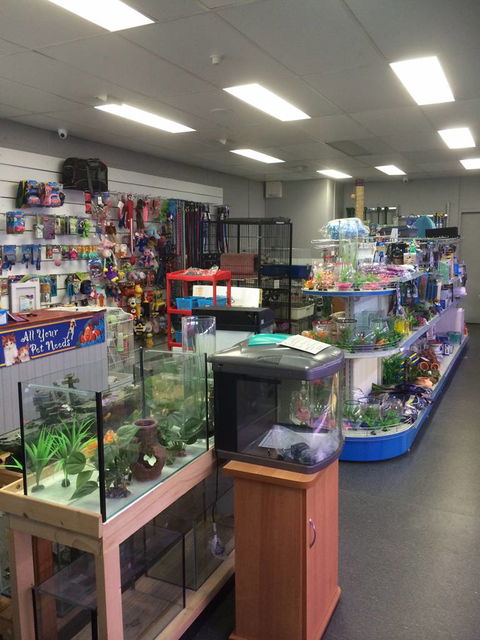 Nambour Pet Shop - Queensland Tourism 0