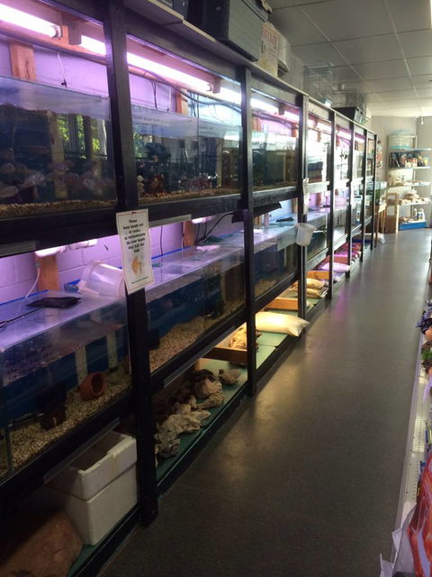 Nambour Pet Shop - Queensland Tourism 1