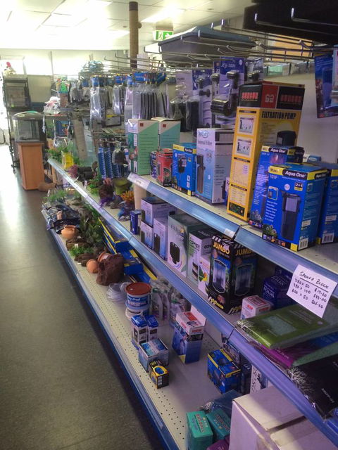 Nambour Pet Shop - Queensland Tourism 2