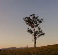 Faulls Ridge Winery - QLD Tourism