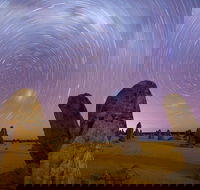 Pinnacles Sunset Dinner and Wildlife Experience a Small Group Tour - Queensland Tourism