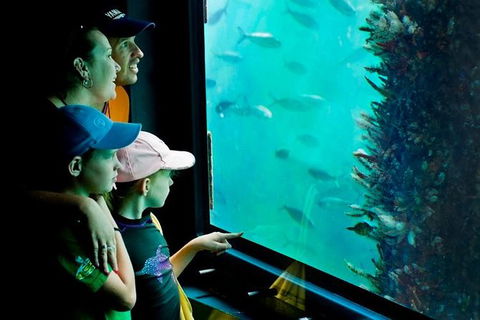 2-hour Busselton Jetty Package: Jetty Train And Underwater Observatory - Queensland Tourism 1